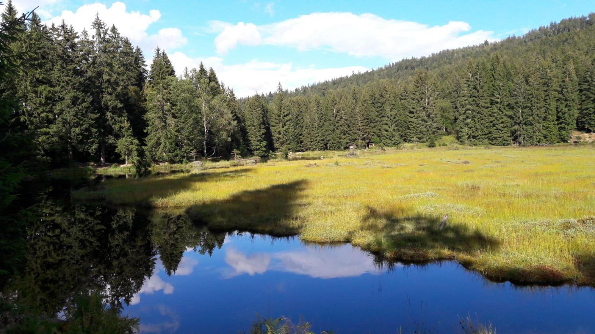 Fewo-Harlachberg-Blick-1 Bodenmais Εξωτερικό φωτογραφία